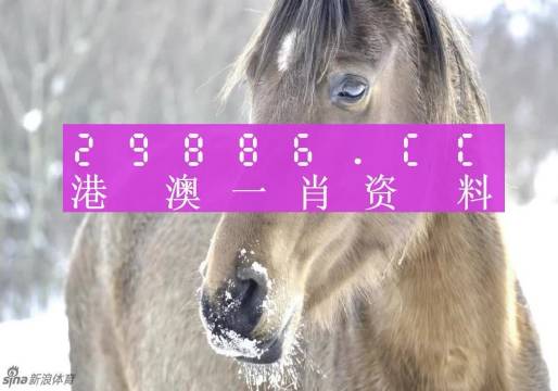 澳門一肖一碼準(zhǔn)確100%,澳門一肖一碼準(zhǔn)確100%，揭秘背后的真相與風(fēng)險(xiǎn)