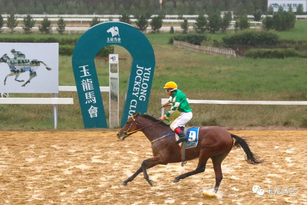 2025今晚香港開特馬,今晚香港開特馬，探索賽馬運動的魅力與未來展望