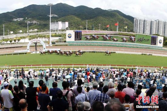 香港最準馬會資料免費,香港最準馬會資料免費，揭秘賽馬世界的秘密