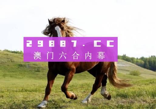 澳門六開獎結果2023開獎記錄查詢網(wǎng)站,澳門六開獎結果2023開獎記錄查詢網(wǎng)站，探索與解析