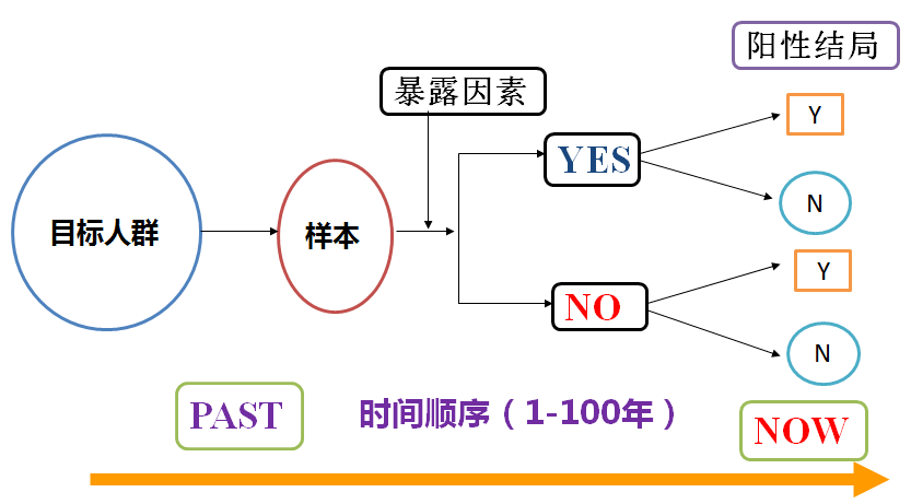 正版資料免費(fèi)資料大全十點(diǎn)半,正版資料與免費(fèi)資料大全，探索與利用的最佳時(shí)刻——十點(diǎn)半的魅力