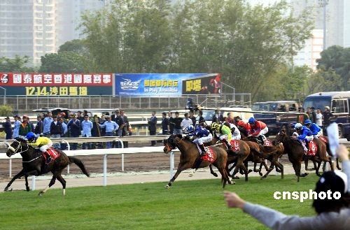 2025今晚香港開特馬,關于香港賽馬會特馬賽事的探討