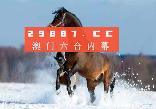 2023年澳門特馬今晚開碼,澳門特馬今晚開碼，探索未來的機遇與挑戰