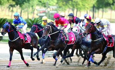 2025今晚香港開特馬,香港賽馬盛宴，今晚特馬盛宴的期待與激情