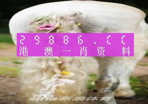 今晚一肖一碼澳門一肖四不像,今晚一肖一碼澳門一肖四不像，探索神秘預(yù)測(cè)世界