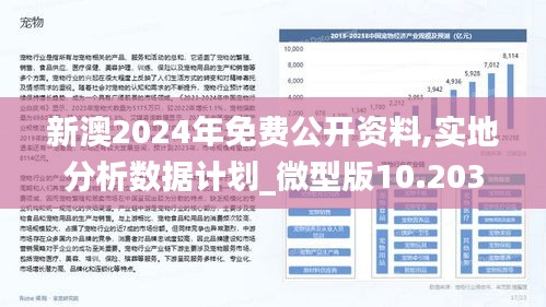 新澳2025大全正版免費資料,新澳2025大全正版免費資料，探索與啟示