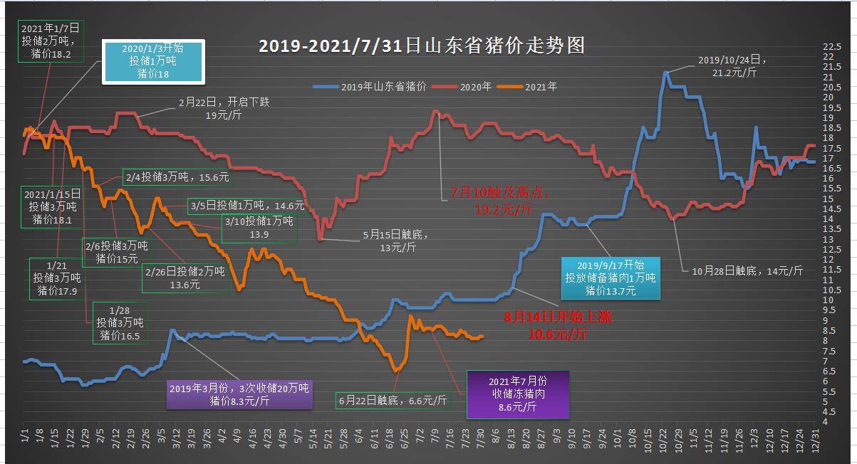 2025澳門特馬開獎號碼,澳門特馬開獎號碼與未來的想象